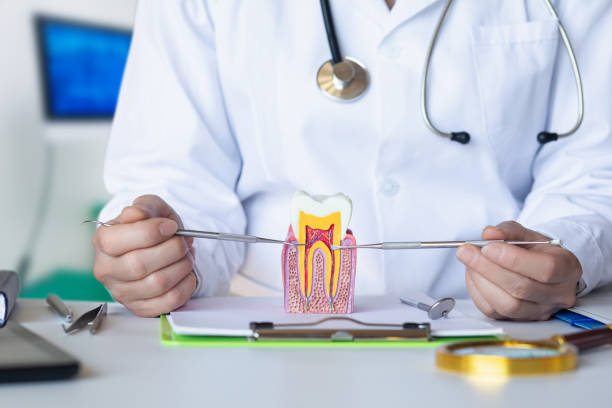 Best After-Hours Dental Trauma Care in Man, WV